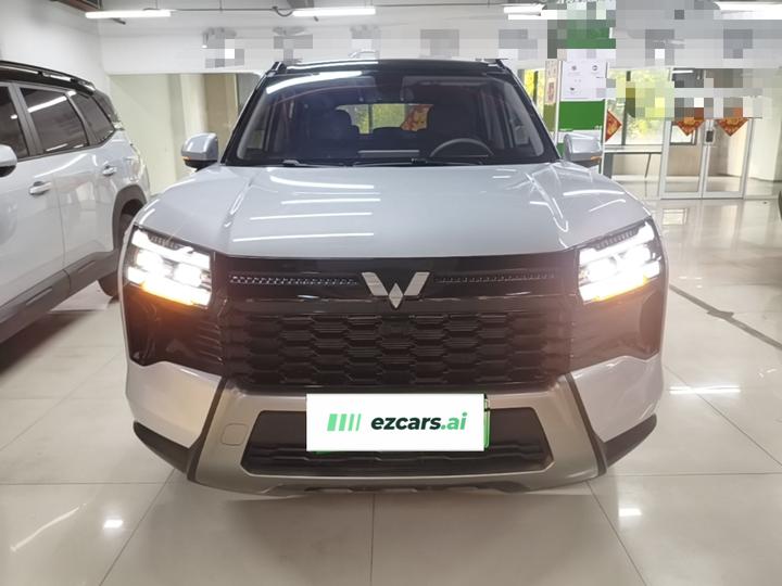 560 EV 2026 125km Luxury photo 2