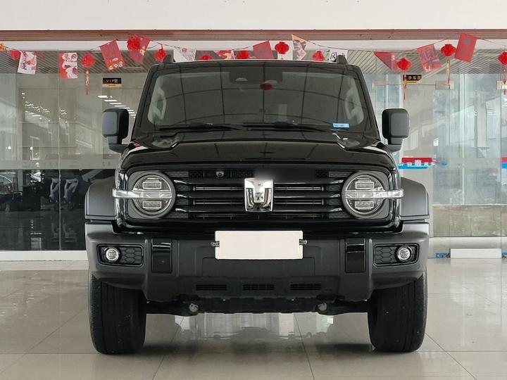 300 2024 2.0T Conqueror photo 6