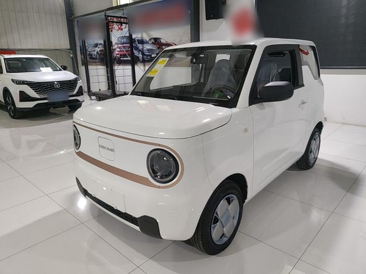 2024 Panda mini 200km Endurance Bear