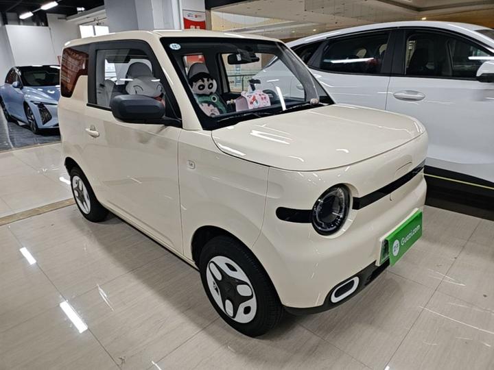 2025 Panda mini 210km Yuan photo 3