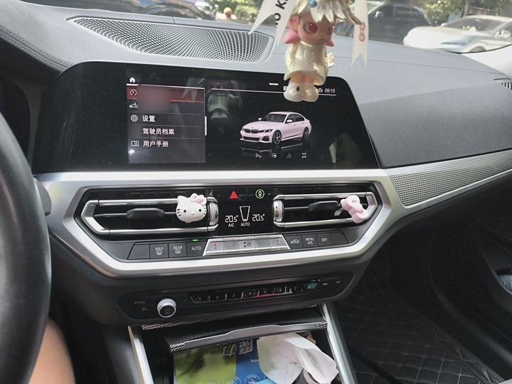 3 Series 2021 325Li M M Sport Night Package photo 5