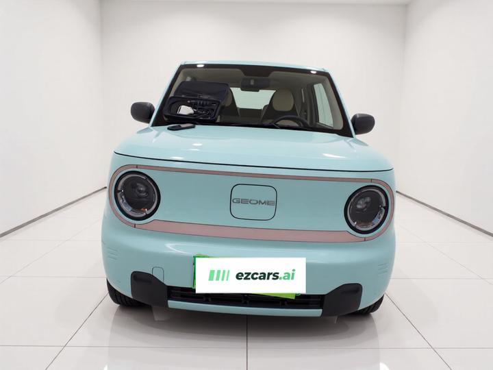 2024 Panda mini 200km Endurance Bear photo 2