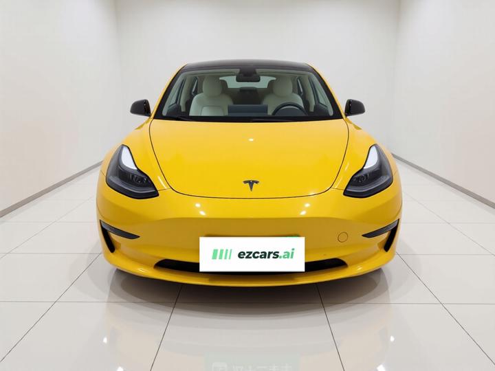Model 3 2022 Performance AWD photo 2