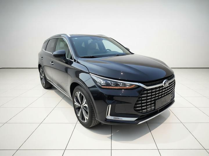 Tang EV 2021 EV AWD Performance Noble photo 3