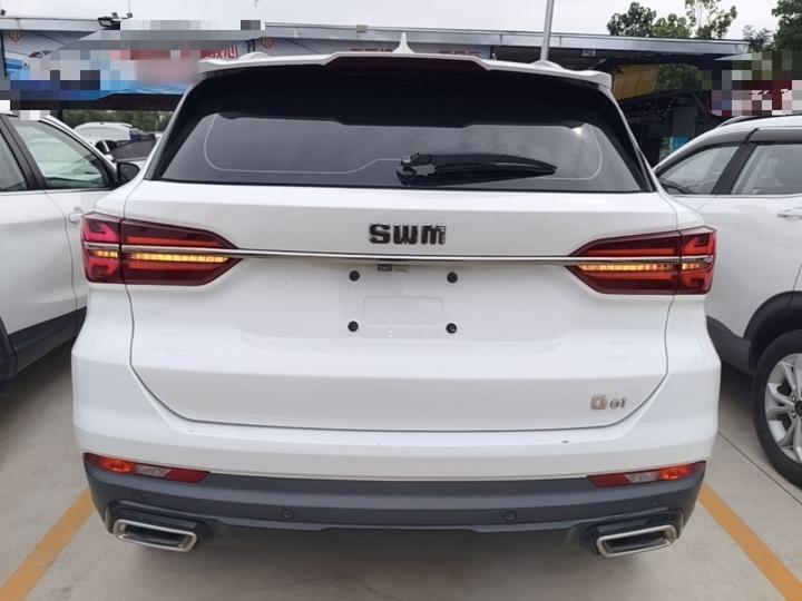 SWM G01 2018 1.5T AT UP photo 3