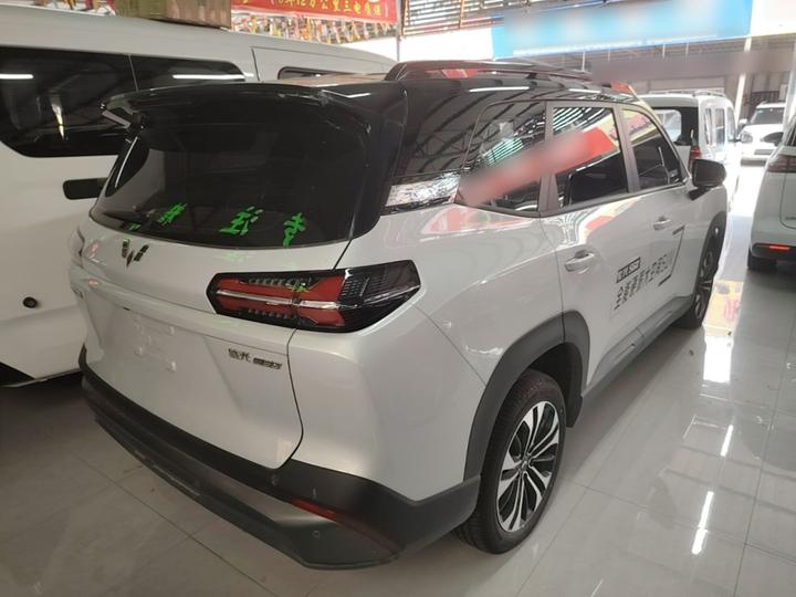 560 EV 2026 EV 500km Luxury photo 6