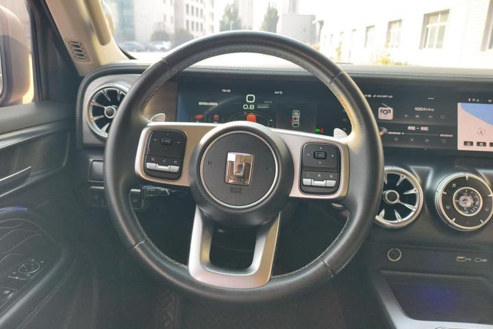 300 2021 Off-road 2.0T photo 8