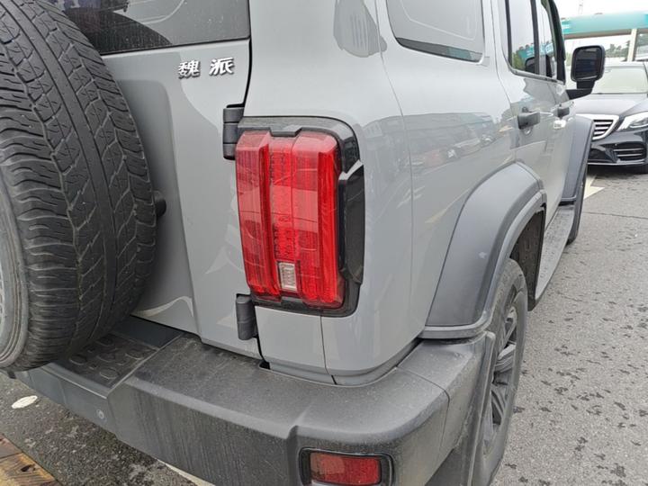 300 2021 Off-road 2.0T Conqueror photo 7