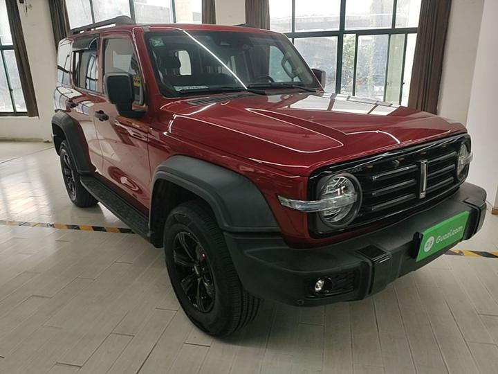 300 2021 Off-road 2.0T Conqueror photo 3