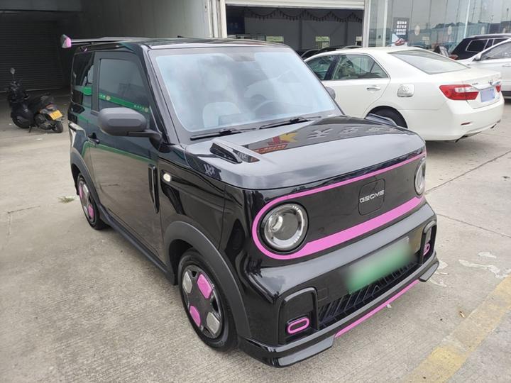2025 210km Panda photo 3