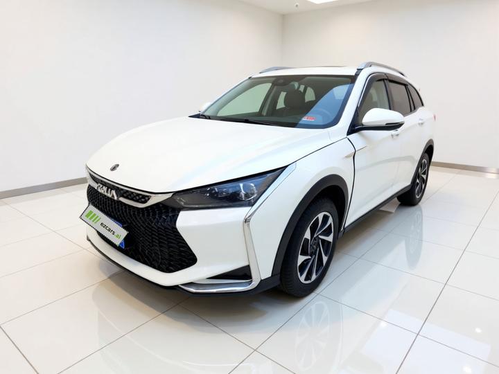 Yixuan GS 2021 230T AT