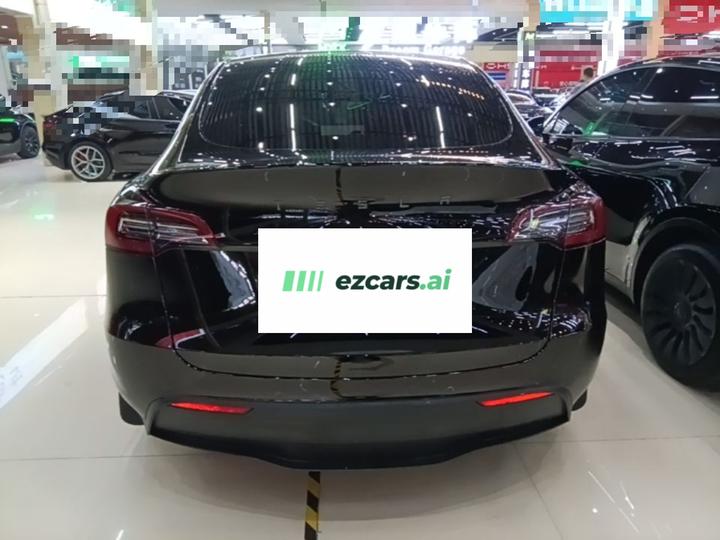 Model Y 2021 Standard Range RWD photo 5