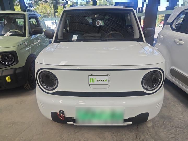 2024 Panda mini 200km Endurance Bear photo 2