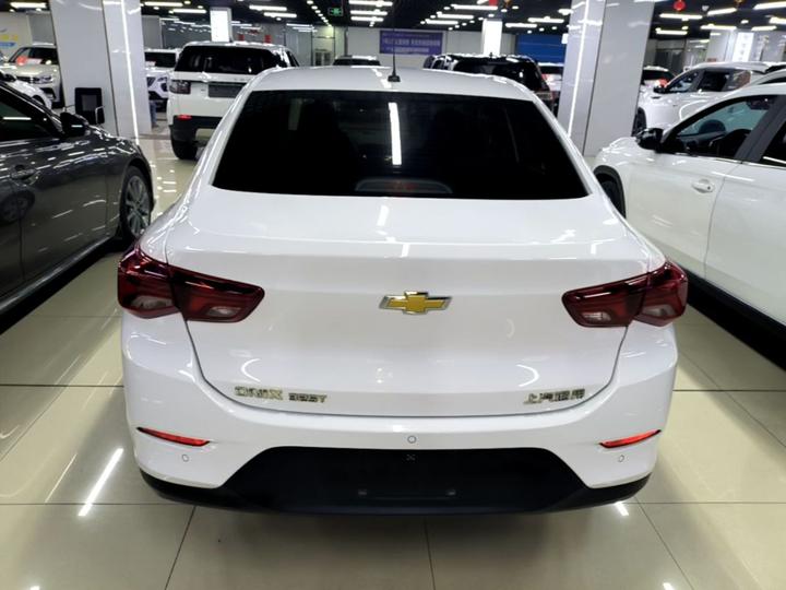 Cavalier 2020 325T AT photo 5