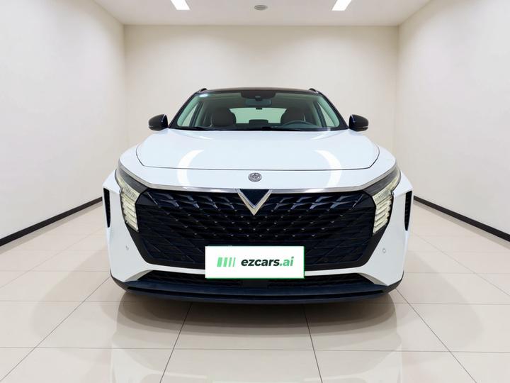 V 2021 260T photo 2