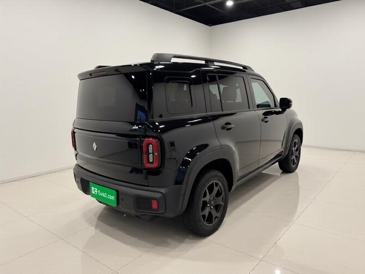 Plus 2024 Smart Premium 4-Seater photo 4