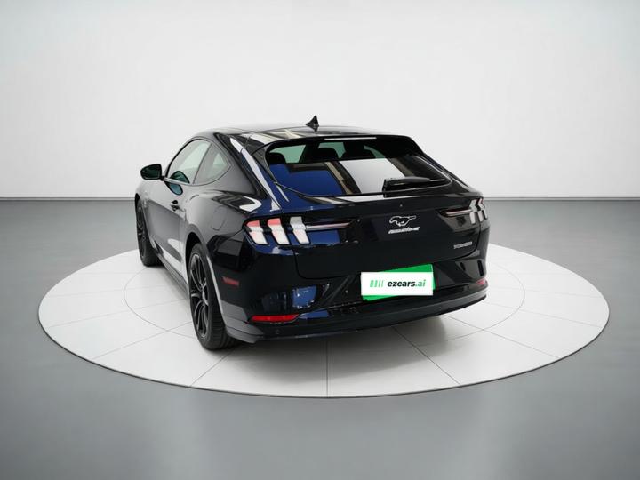 2021 RWD Luxury Long Range photo 3