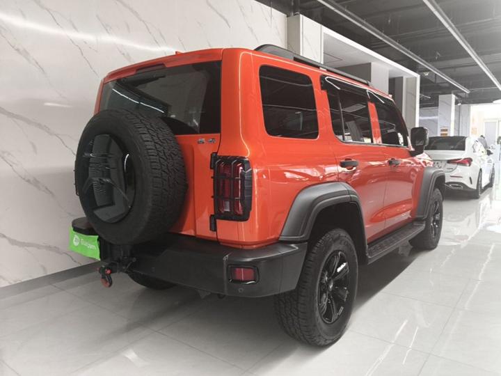 300 2021 Off-road 2.0T Conqueror photo 4