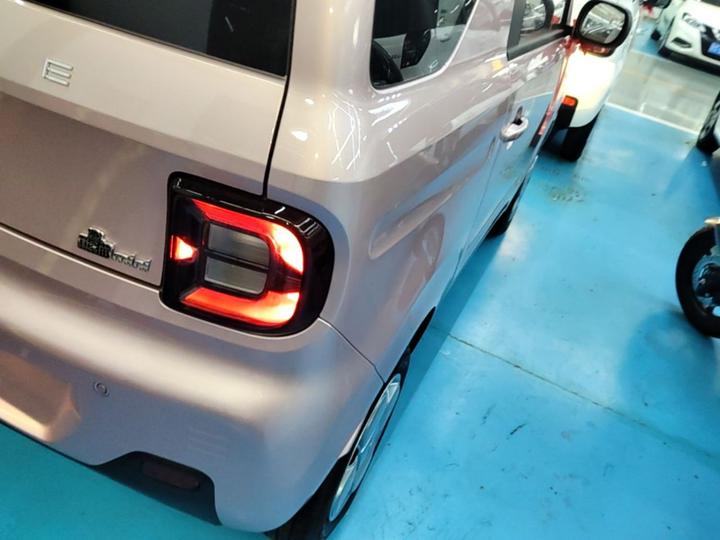 2024 Panda mini 200km Endurance Bear photo 7