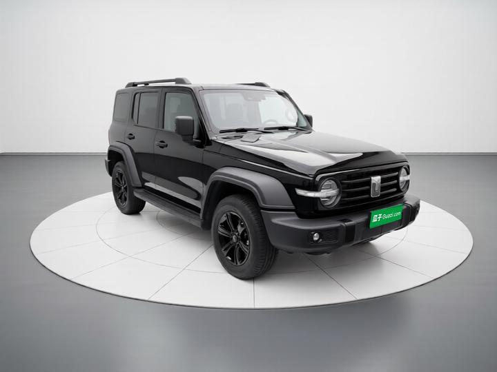 300 2025 2.0T Petrol Conqueror photo 3