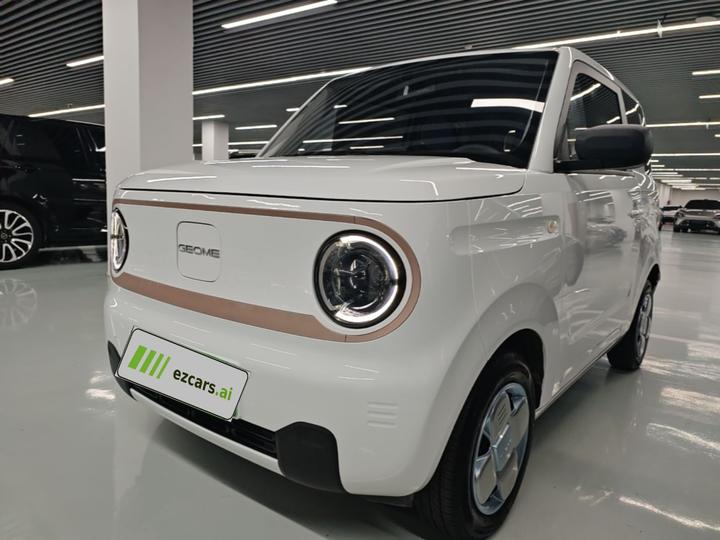 2024 Panda mini 200km PRO
