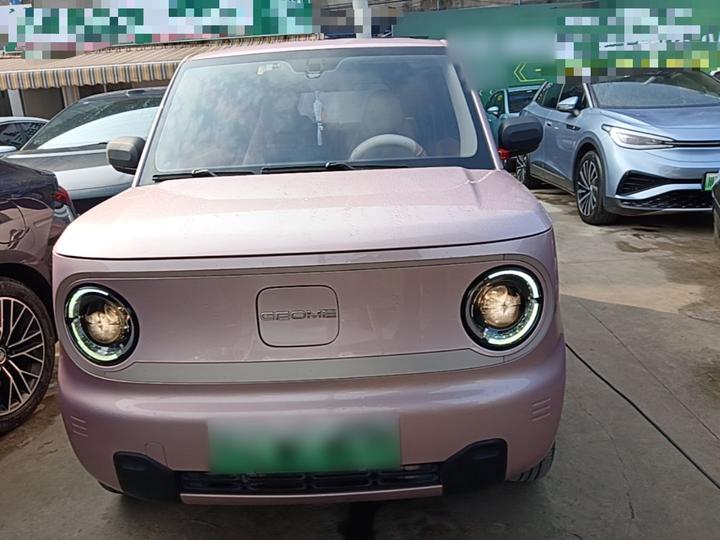 2023 Panda mini 200km Endurance Bear photo 2