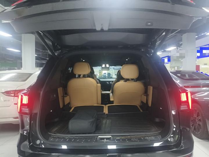 09 EM-P 2021 2.0T PHEV Halo 6-Seater photo 8