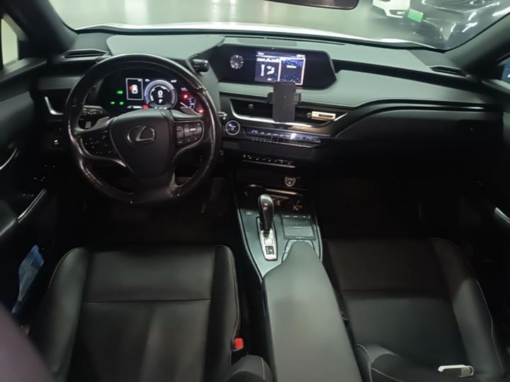 UX EV 2020 300e photo 5