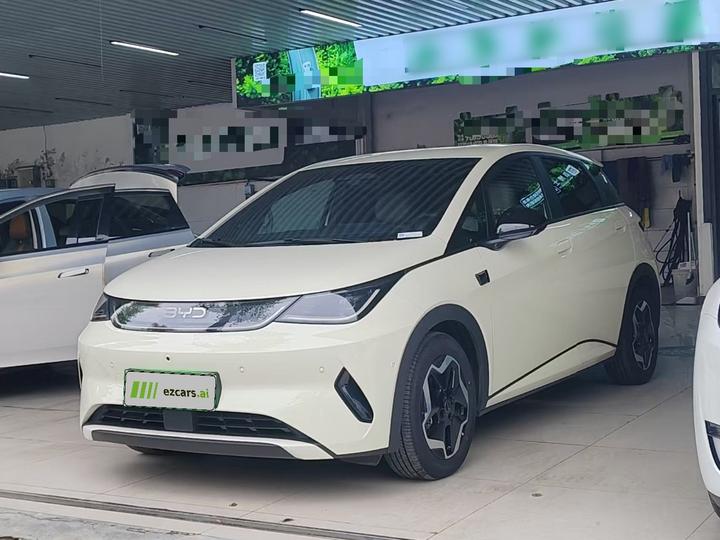 Dolphin 2025 ADAS 420km