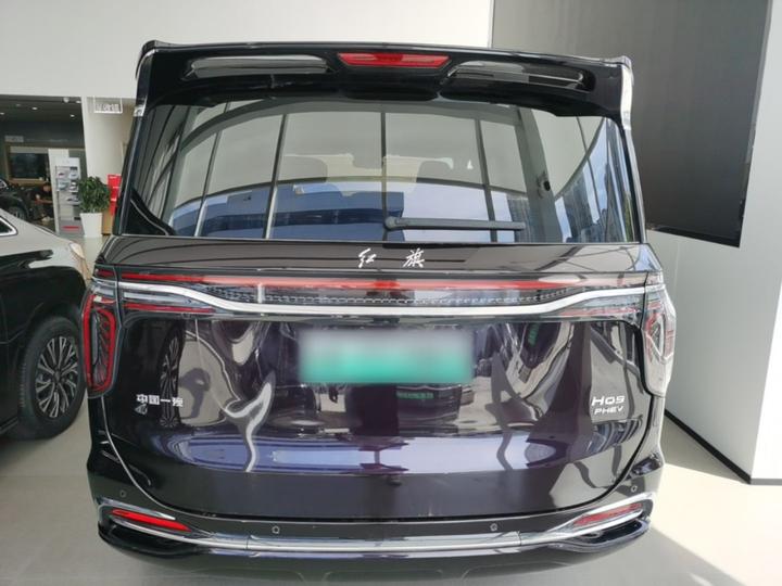HQ9 PHEV 2024 2.0T AWD Business photo 3