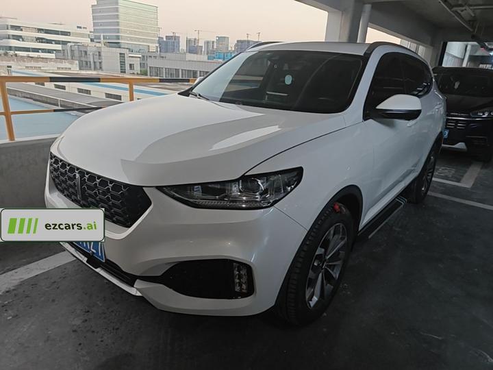 VV6 2018 2.0T RWD China V