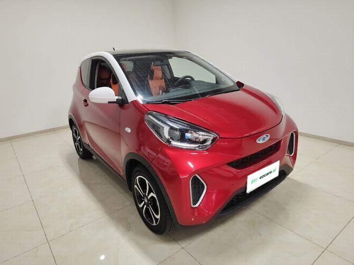 QQ Little Ant 2021 15 NCM photo 3