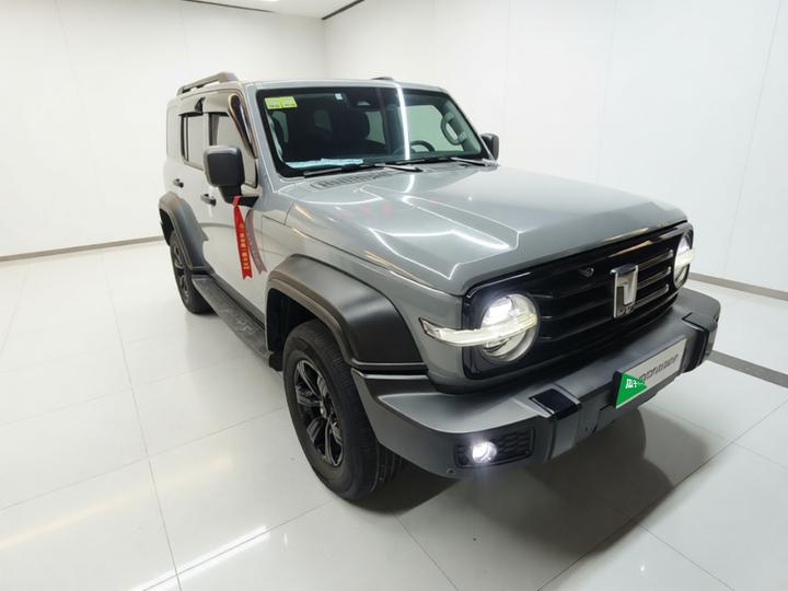 300 2021 Off-road 2.0T Conqueror photo 3