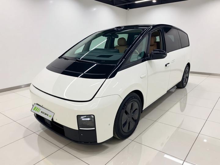 Li MEGA 2025 Home Family Special