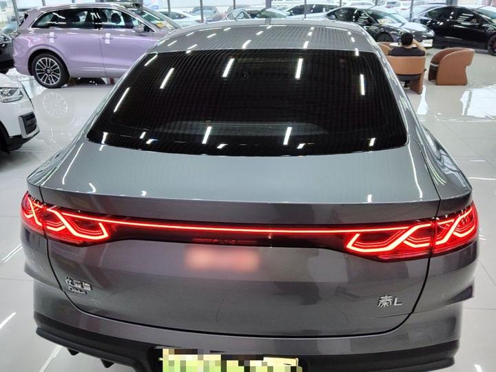 Qin L 2024 DM-i 80KM photo 5
