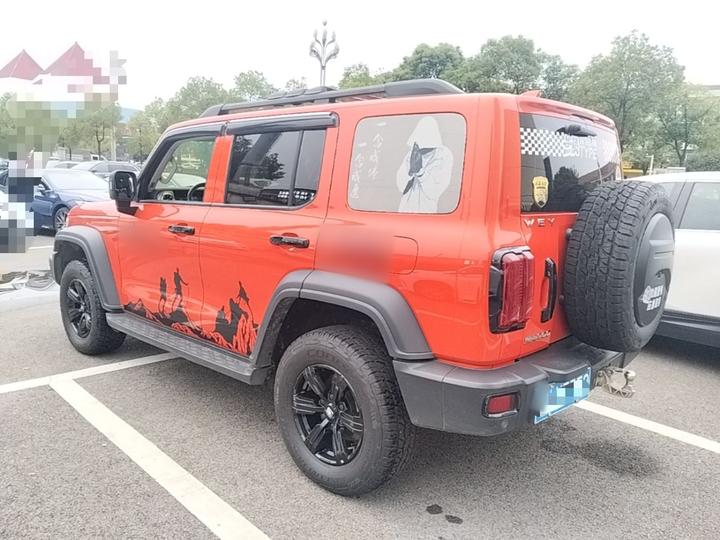 300 2021 Off-road 2.0T Conqueror photo 4