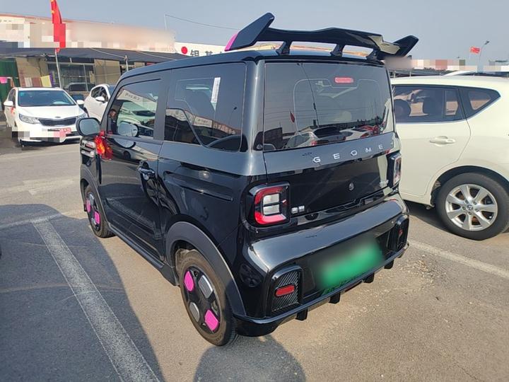 2025 210km Panda photo 4
