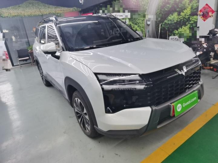 560 EV 2026 125km Luxury photo 3