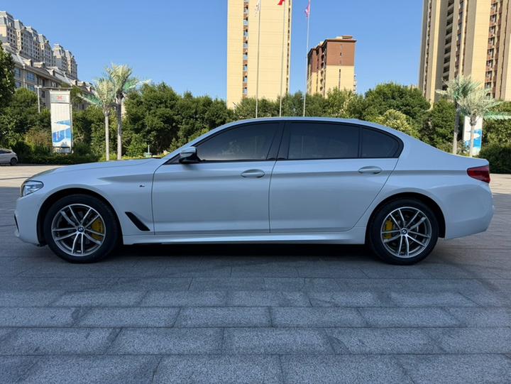 5 Series 2019 525Li M Sport Package photo 3