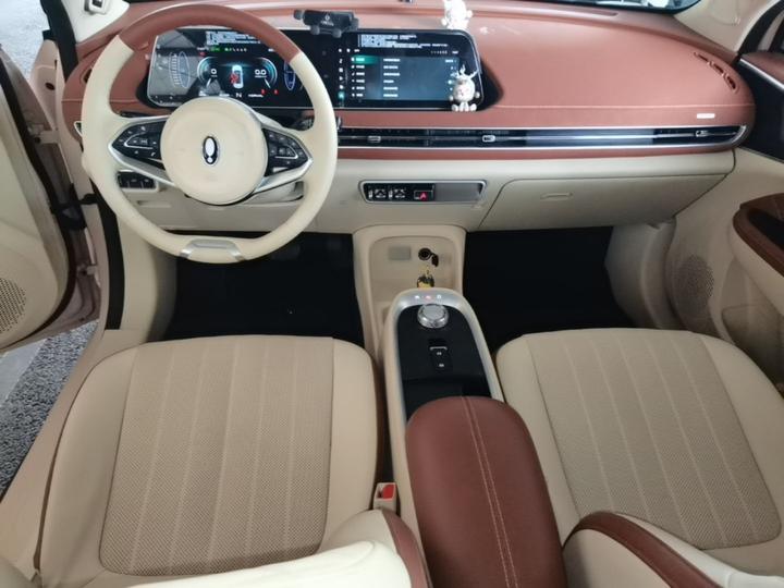 Good Cat 2022 400km Standard Range Premium LFP photo 5