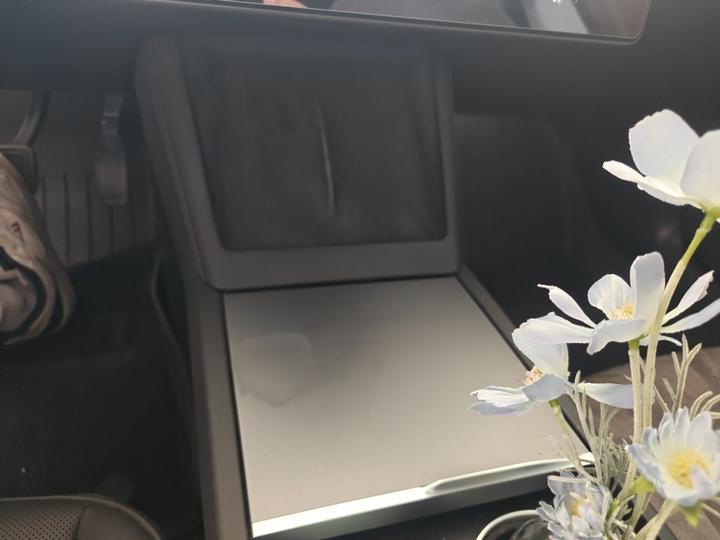 Model 3 2023 RWD photo 5