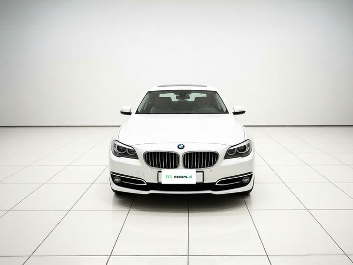 5 Series 2017 525Li Luxury Design Package photo 2