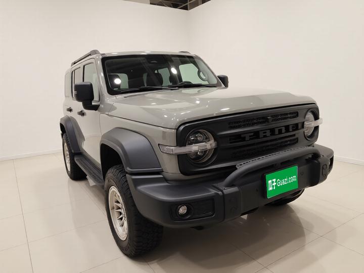 300 2021 Off-road 2.0T Conqueror photo 3
