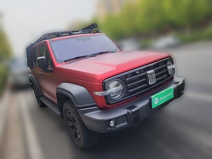 300 2024 2.0T Conqueror photo 3