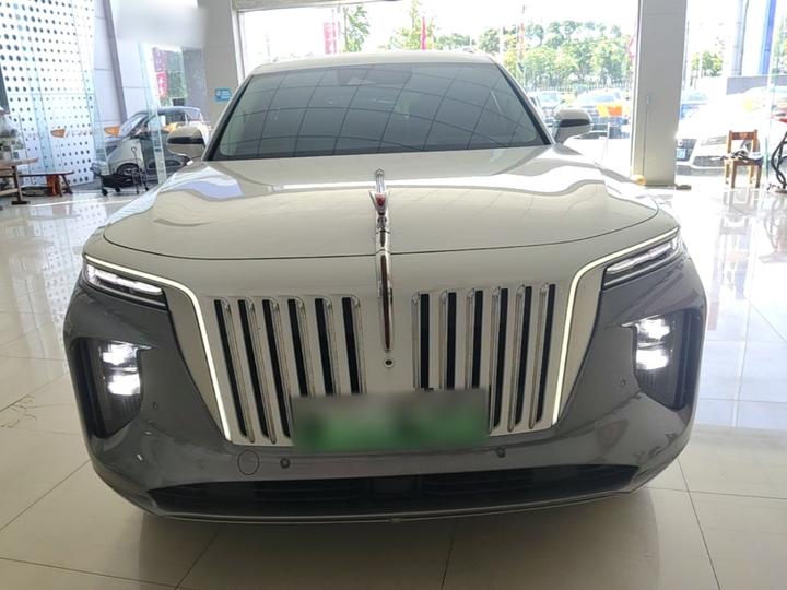 E-HS9 2021 510km 4-Seater photo 2