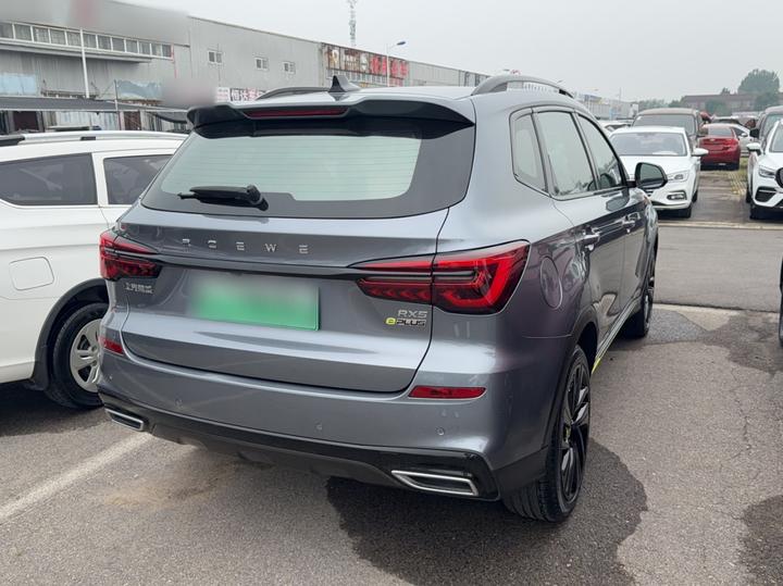 RX5 EV 2020 ePLUS Luxury photo 4