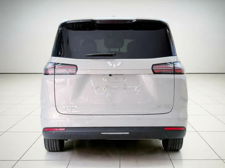730 EV 2025 125km Luxury photo 5