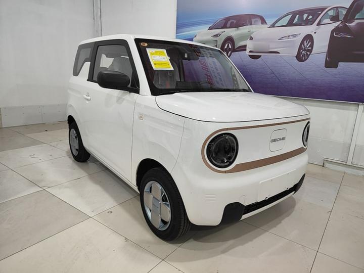 2024 Panda mini 200km Endurance Bear photo 3