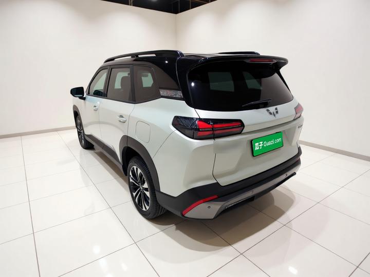 560 EV 2026 125km Luxury photo 4