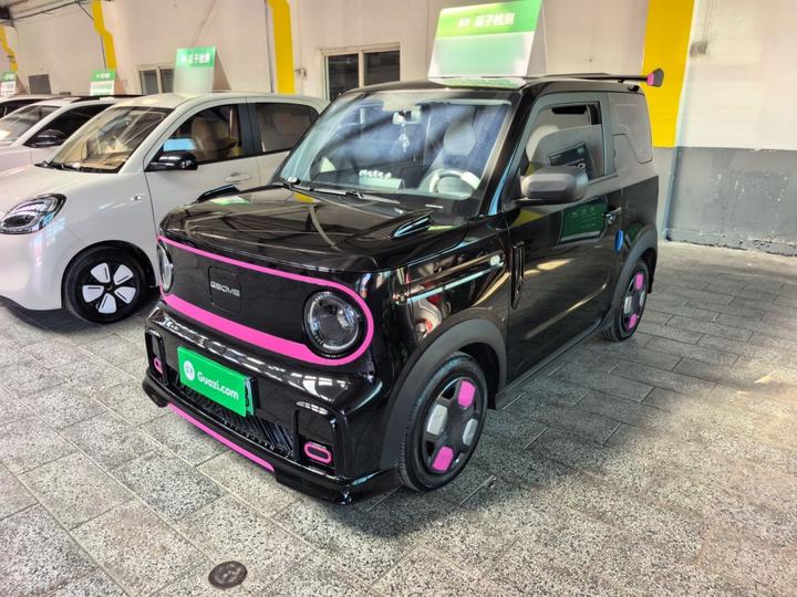 2025 210km Panda photo 2